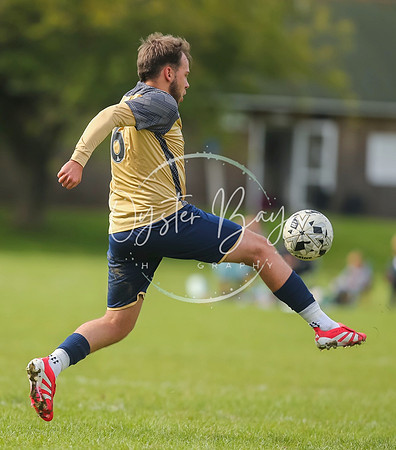 SouthEastSwans_1-4_Egerton_399