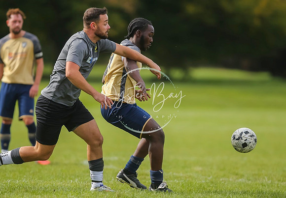 SouthEastSwans_1-4_Egerton_400