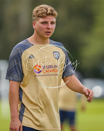 SouthEastSwans_1-4_Egerton_401
