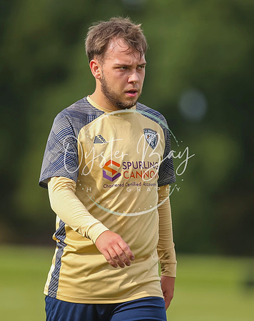 SouthEastSwans_1-4_Egerton_407