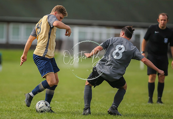 SouthEastSwans_1-4_Egerton_406
