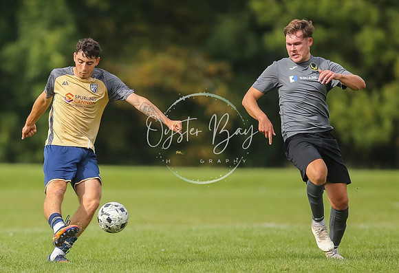 SouthEastSwans_1-4_Egerton_412
