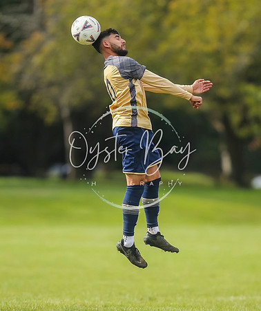 SouthEastSwans_1-4_Egerton_413