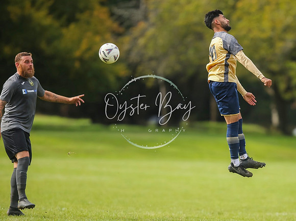 SouthEastSwans_1-4_Egerton_414