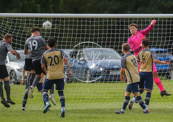 SouthEastSwans_1-4_Egerton_418