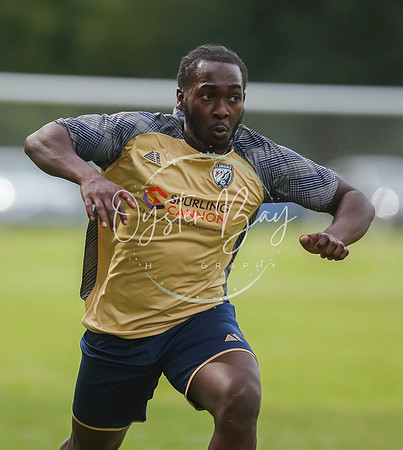 SouthEastSwans_1-4_Egerton_419