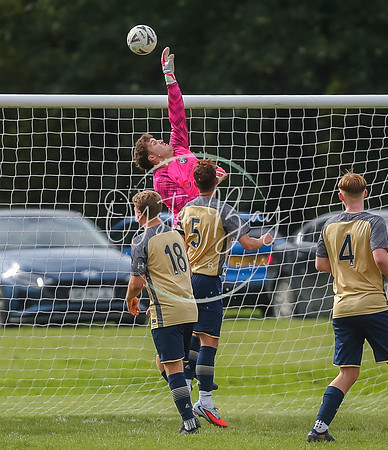 SouthEastSwans_1-4_Egerton_417
