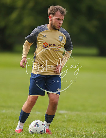 SouthEastSwans_1-4_Egerton_420