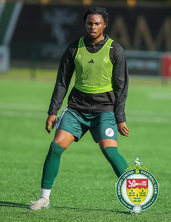 FAT_Ashford_3-3_Biggleswade_026