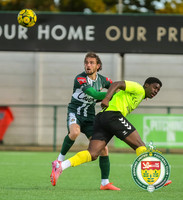 FAT_Ashford_3-3_Biggleswade_081