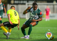 FAT_Ashford_3-3_Biggleswade_090