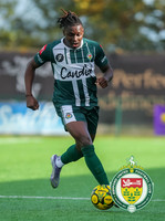 FAT_Ashford_3-3_Biggleswade_098