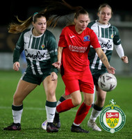 Cup Ashford 2-0 Broadbridge Heath