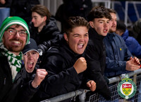Fans