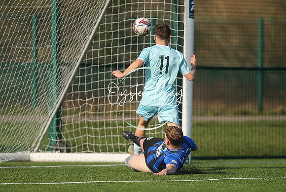 StanhopeRes_2-11_FortunaSwans_053