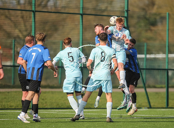 StanhopeRes_2-11_FortunaSwans_154