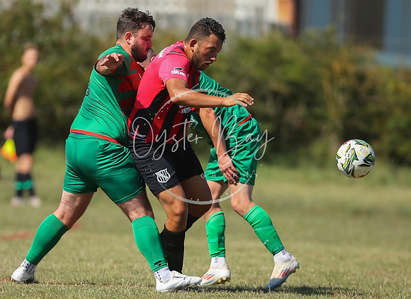 StanhopeRes_MediaandMatch_248