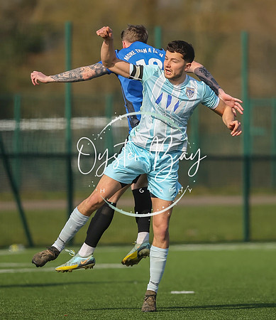 StanhopeRes_2-11_FortunaSwans_067