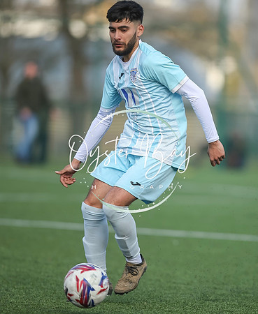 StanhopeRes_2-11_FortunaSwans_202