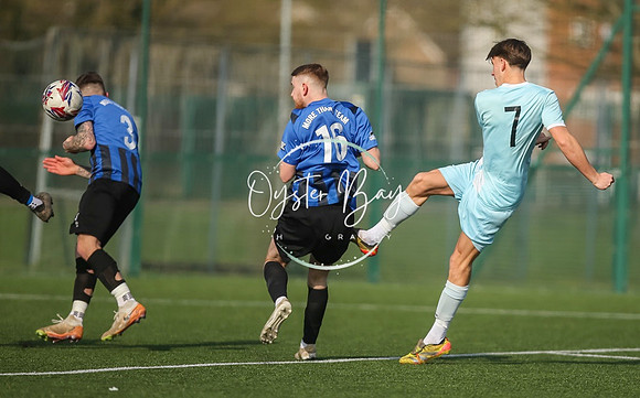 StanhopeRes_2-11_FortunaSwans_070