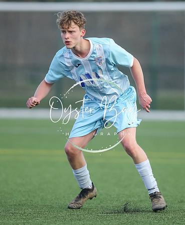 StanhopeRes_2-11_FortunaSwans_208