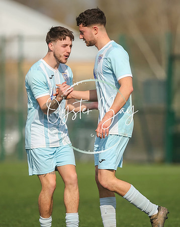 StanhopeRes_2-11_FortunaSwans_316