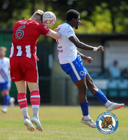 FAVase_Bearsted_4-1_Redhill_005