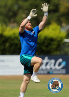 FAVase_Bearsted_4-1_Redhill_002