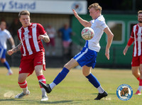 FAVase_Bearsted_4-1_Redhill_012