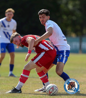 FAVase_Bearsted_4-1_Redhill_020
