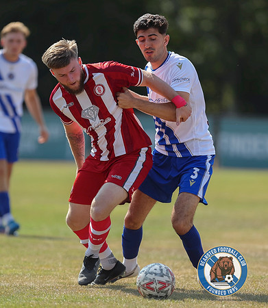 FAVase_Bearsted_4-1_Redhill_021