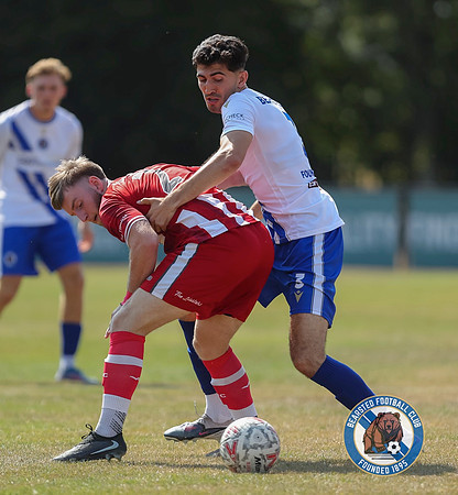 FAVase_Bearsted_4-1_Redhill_019
