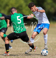 PSF_BromleyGreen_v_Pristine_009