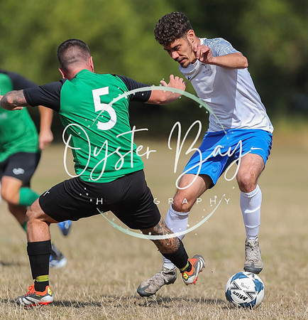 PSF_BromleyGreen_v_Pristine_009