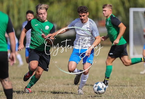 PSF_BromleyGreen_v_Pristine_013