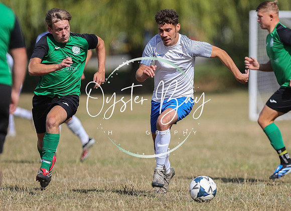 PSF_BromleyGreen_v_Pristine_012