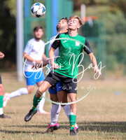 PSF_BromleyGreen_v_Pristine_019
