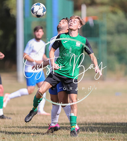 PSF_BromleyGreen_v_Pristine_019