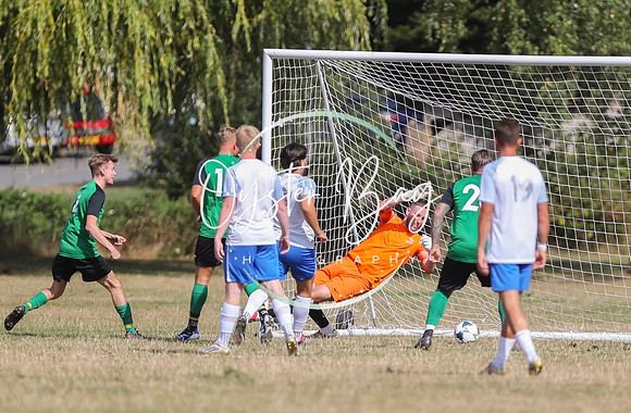 PSF_BromleyGreen_v_Pristine_031