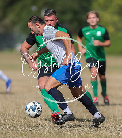 PSF_BromleyGreen_v_Pristine_032