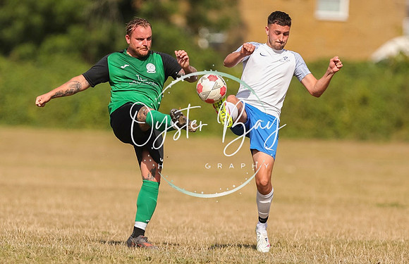 PSF_BromleyGreen_v_Pristine_052