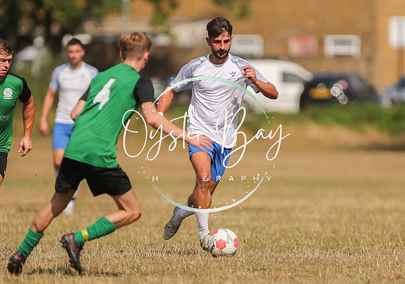 PSF_BromleyGreen_v_Pristine_098