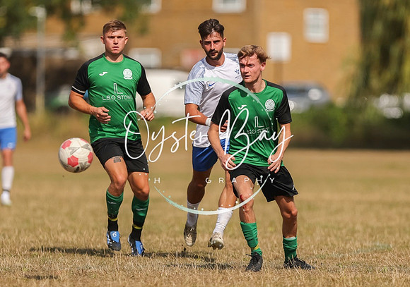 PSF_BromleyGreen_v_Pristine_100