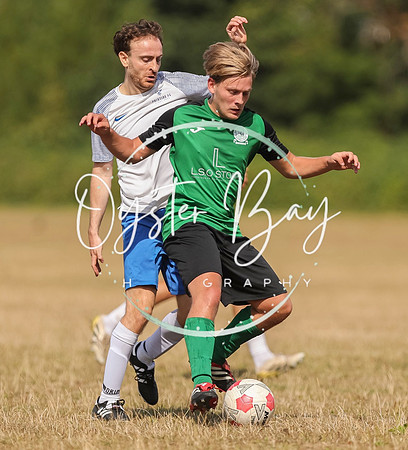 PSF_BromleyGreen_v_Pristine_107