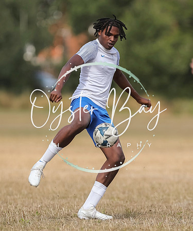 PSF_BromleyGreen_v_Pristine_117