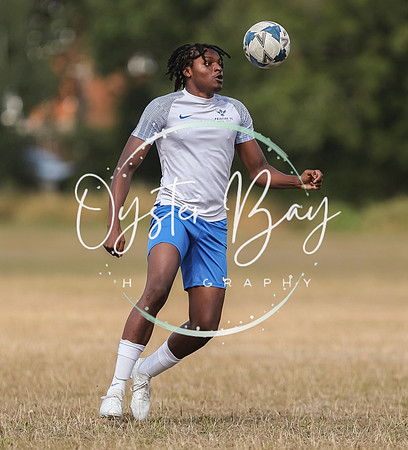PSF_BromleyGreen_v_Pristine_115