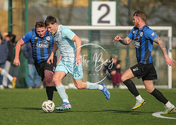 StanhopeRes_2-11_FortunaSwans_169