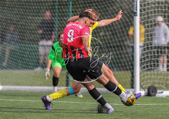 PSF_SABRR_ParkRoyal_210