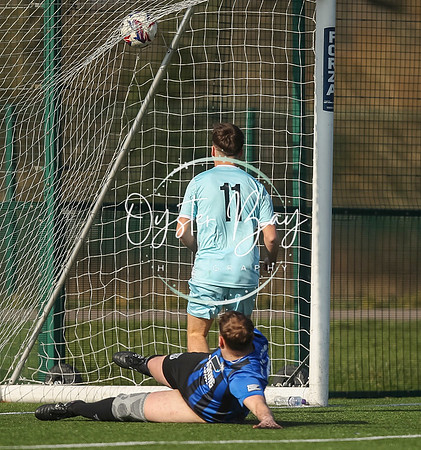 StanhopeRes_2-11_FortunaSwans_055