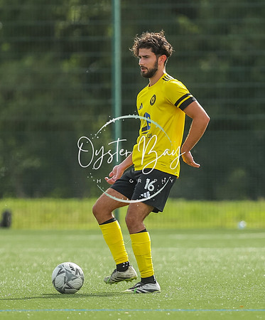 ADL_AshfordWan_Merstham_092